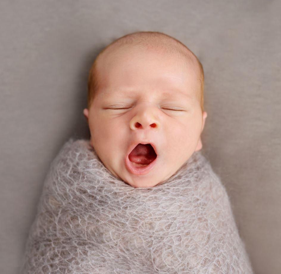 msurrogacylaw's tweet photo. US citizenship now granted to babies born abroad via IVF and surrogacy.

https://t.co/A7DjLfaZTE

#surrogacy #surrogatemothers #intendedparents https://t.co/7uvC63E1Wv