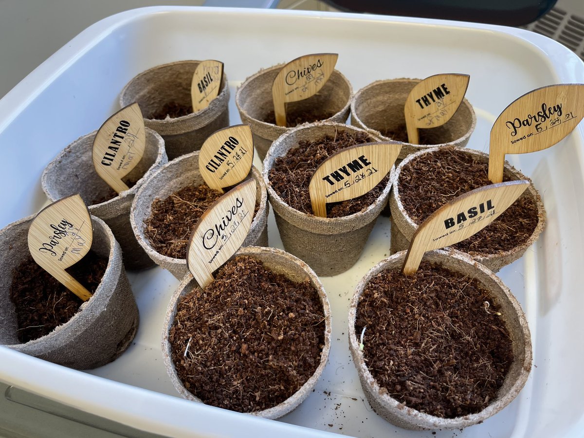 Impact Academy tweet media