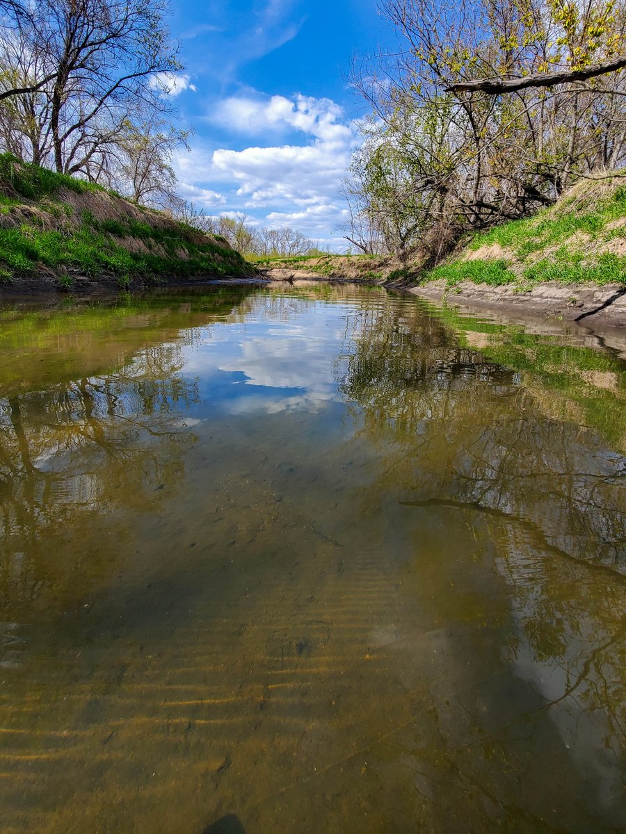 DSMH2O's tweet photo. "Regulated meets unregulated." Jordan Creek travels through urban landscapes & runs clear as it meets up with the Raccoon River, which is brown, turbid & laden w/ soil from upstream. #ThinkDownstreamThursday reminds you that we all have an effect on our water source. https://t.co/h8VR3OFErW