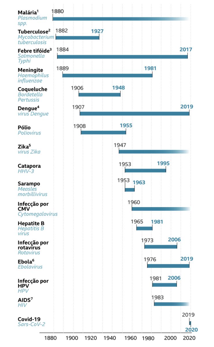 SEI SEI CONTE ME MAIS 🌽 tweet media
