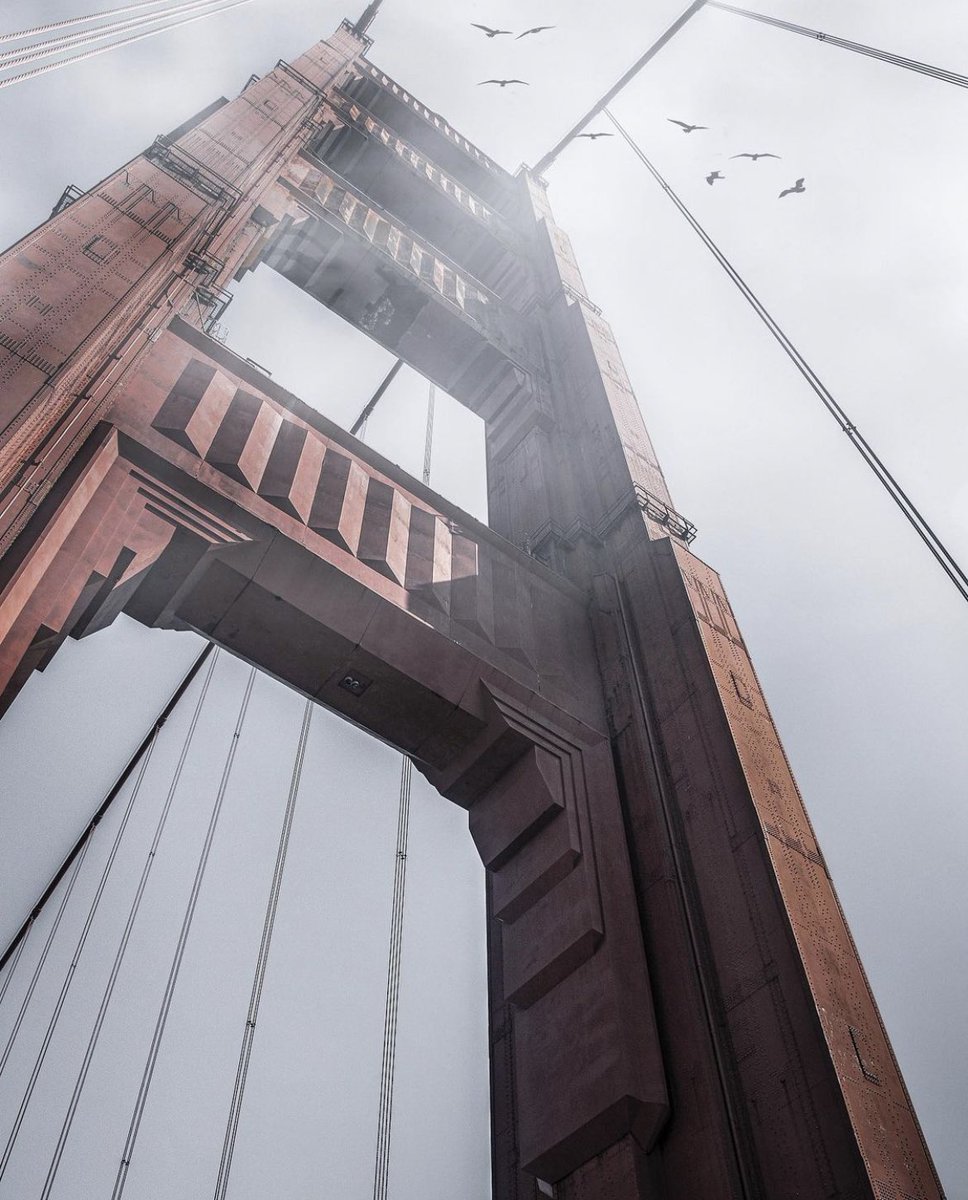 aaronkbaker's tweet photo. The bay! https://t.co/PpY0gGeIiT