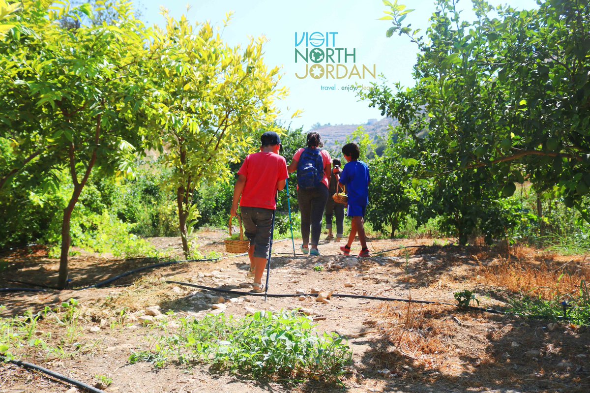 NorthVisit's tweet photo. Green North 💚
Join us on our trips 🏃🏻🏃🏼‍♀️
#north_jordan #summer #summer_vibes #hiking https://t.co/iCj5aJfuN7