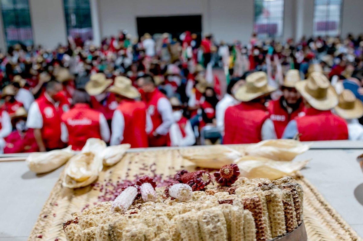 AliciaRobles_Ac's tweet photo. Bienvenido a Milpa Alta, @hernandezderas, líder nacional de la CNC. Nos hermana el amor por la tierra; sabremos corresponder, colocaremos a nuestra querida alcaldía, como un lugar próspero e igualitario.

#VaPorMilpaAlta
Va por un lugar de oportunidades ¡Vamos a ganar! https://t.co/RcrdvmNtY0