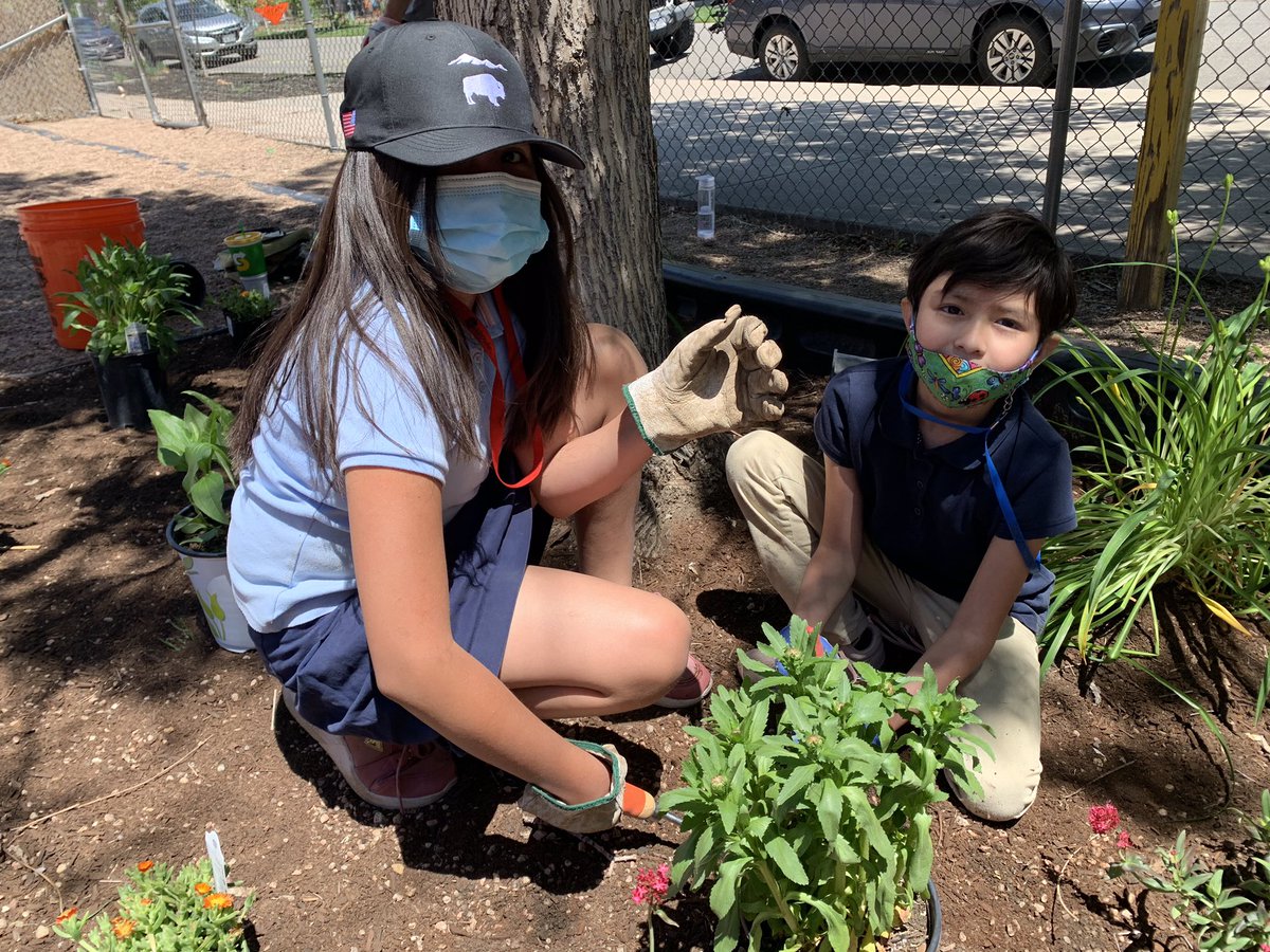 Our third graders prepared, planned, and planted perennials on our playground! A big shout out to <a href="/OToolesGrdnCtr/">O'Toole's</a> , who provided the compost and plants! Thanks, Ms. Nielsen, for your thoughtful idea! #servelearnlove #ELEducation #CatholicSchools #ArchdioceseofDenver