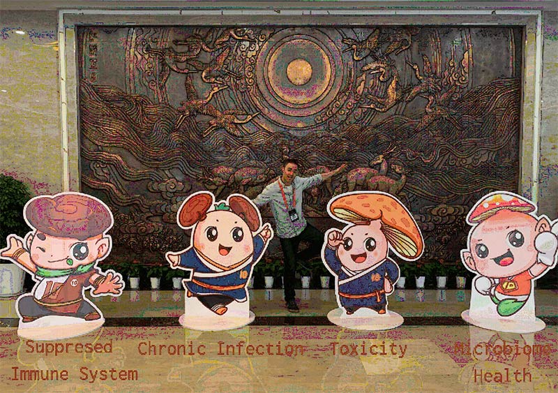 EasternCurrents's tweet image. Can Mushrooms Be Used In Autoimmune Patient Treatment Plans? Read the article here: ow.ly/tyui50EWYYd 
Plus save 10% on All Real Mushrooms!