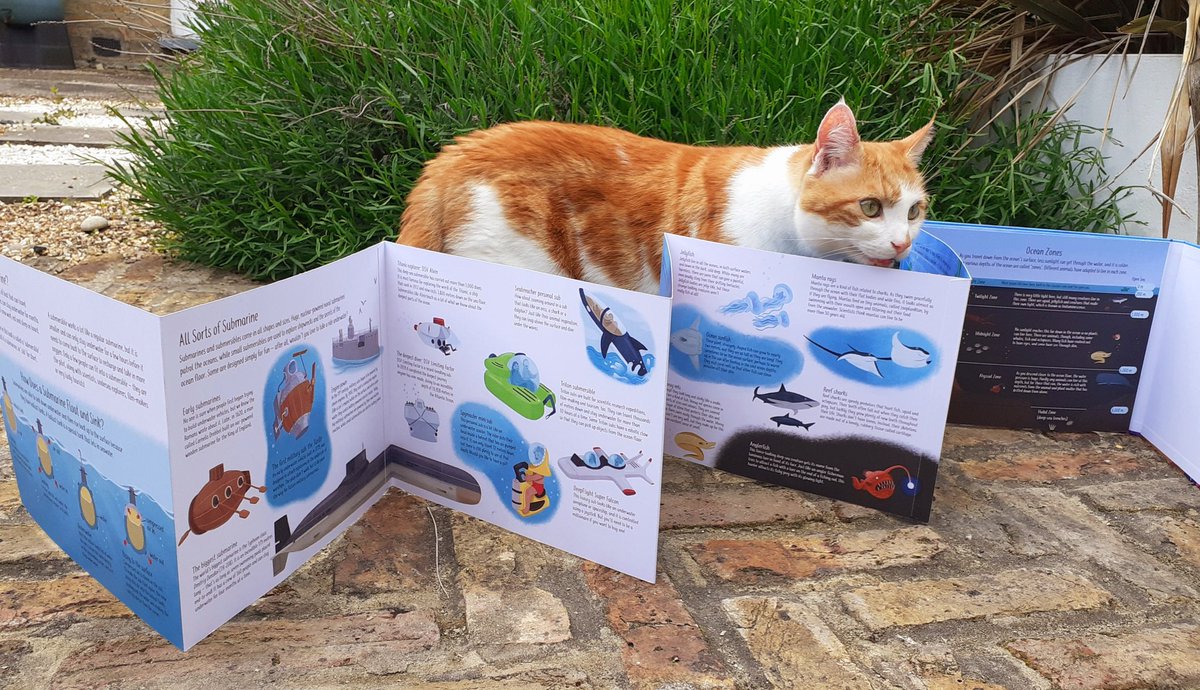 I almost forgot that there's another book birthday today, too! What A Submarine Sees, written by me and beautifully brought to life by illustrator Vivian Mineker. Jasper was  intrigued to see a concertina book and decided to get involved. 
@KidsWelbeck <a href="/vivianmineker/">vivian mineker</a>