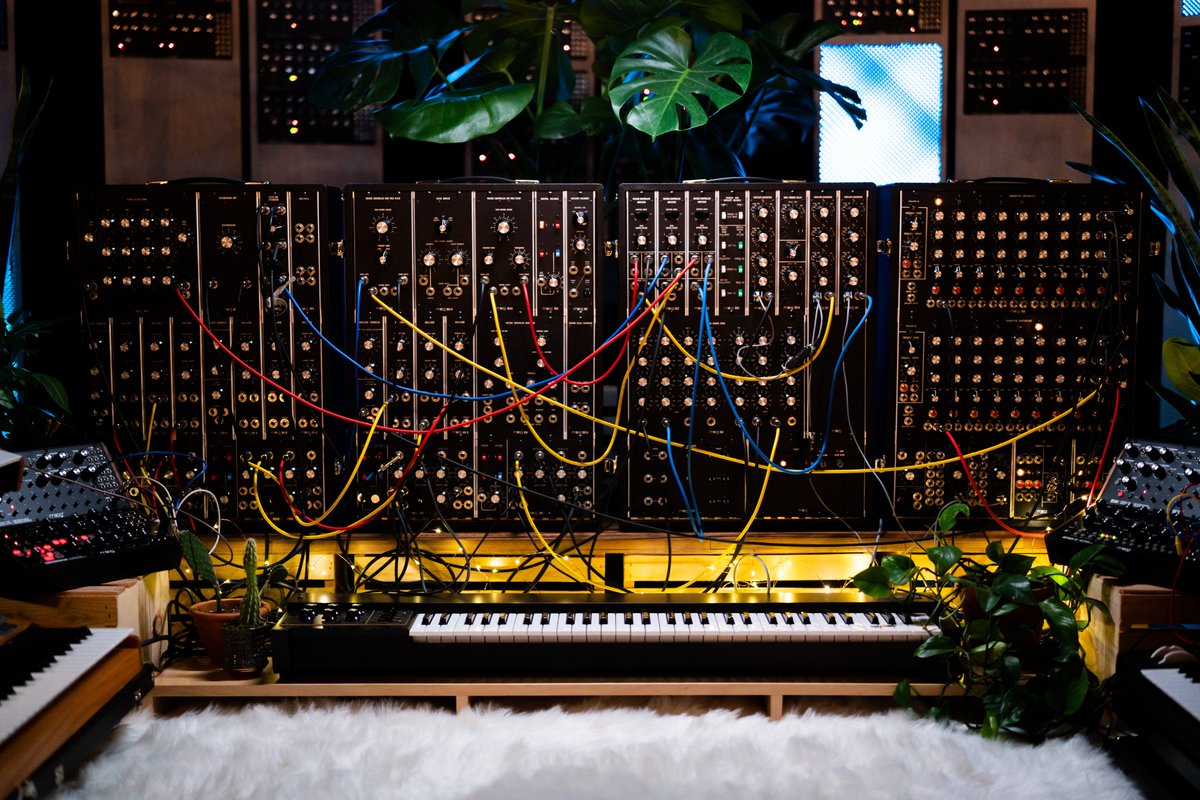 Moderndayfreak bot tweet media