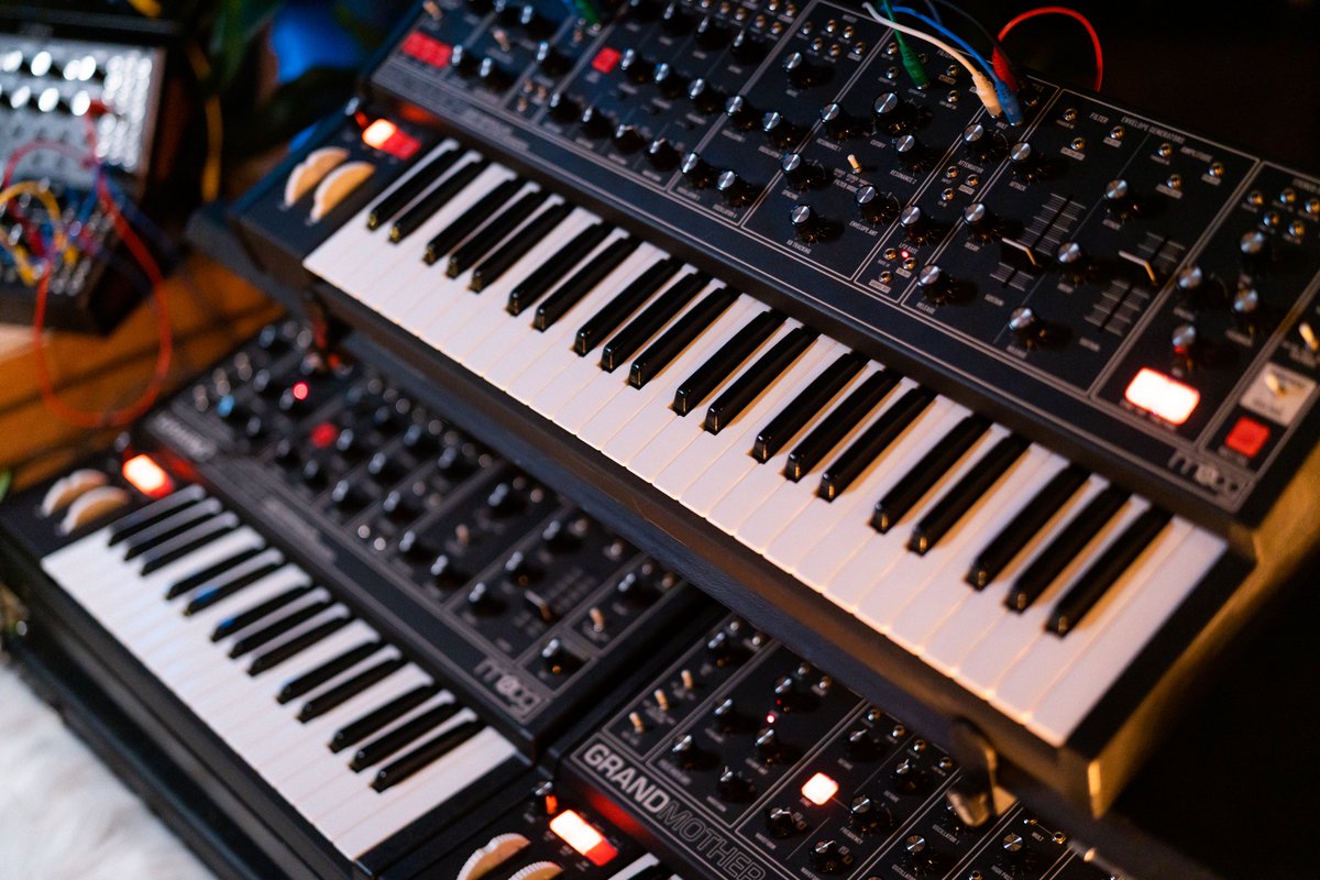 Moderndayfreak bot tweet media