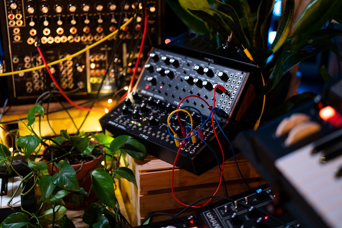 Moderndayfreak bot tweet media