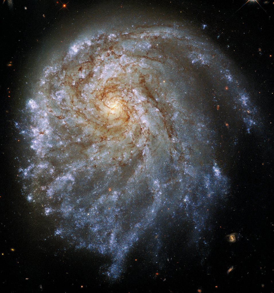 The spiral galaxy NGC 2276's "lopsided" look is caused by a galactic game of tug-of-war!

A neighboring galaxy (not seen here) is gravitationally tugging on its disk of blue stars, pulling the stars on one side of the galaxy outward. Find out more: go.nasa.gov/3oV6dyl