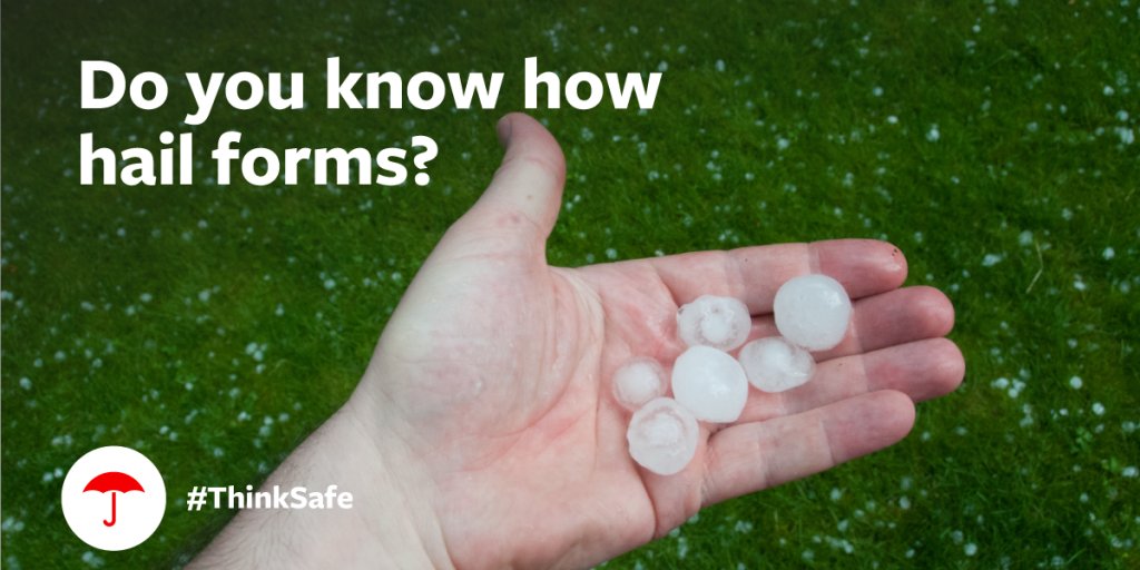 Gerardi Insurance tweet media