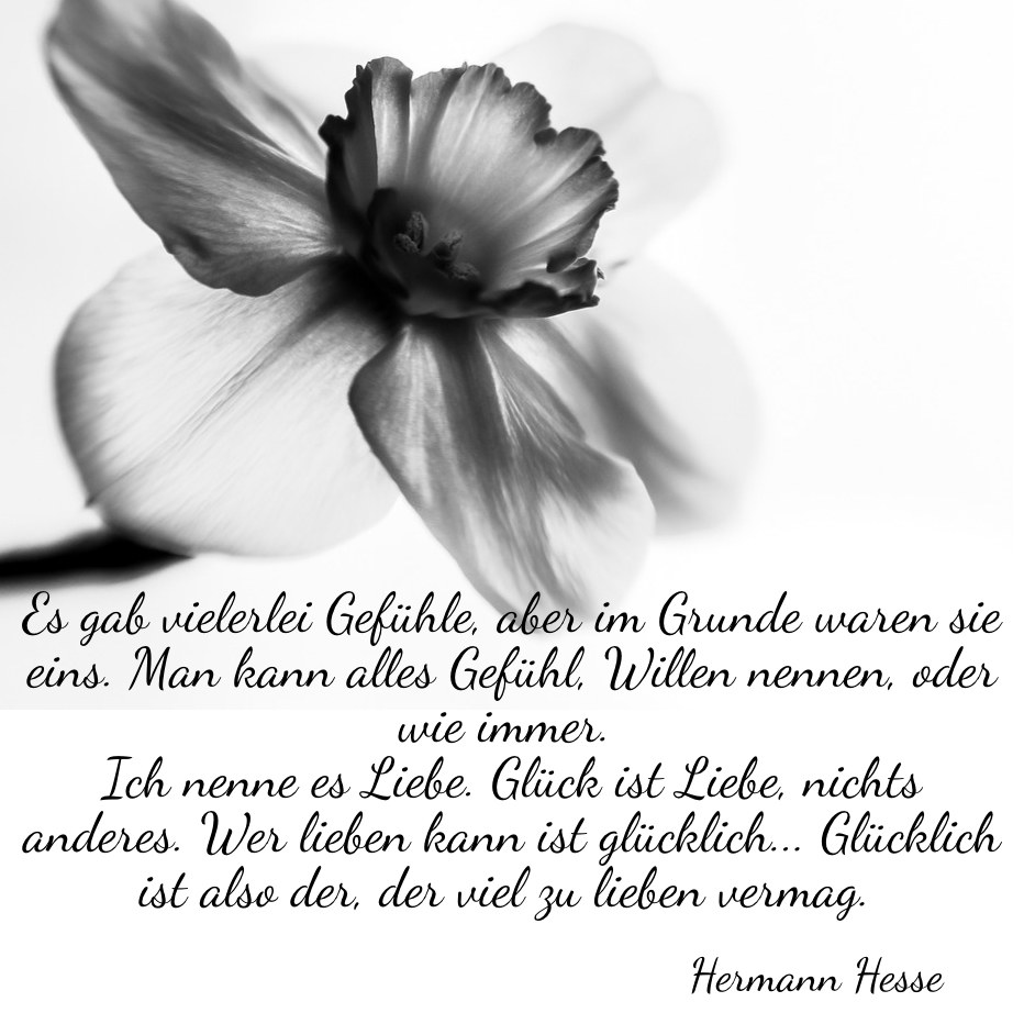 Liebe glück nichts anderes ist Glück und