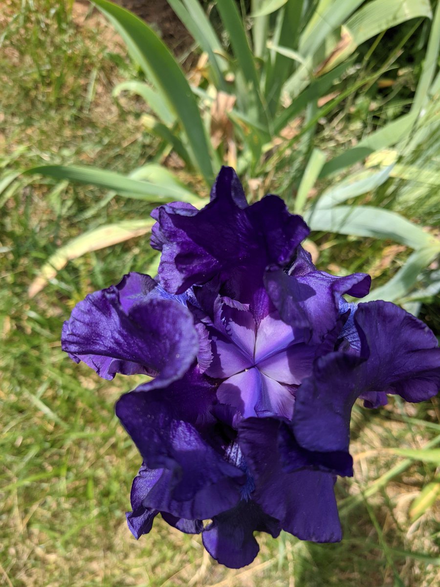 Kirstin A. Morgan tweet media