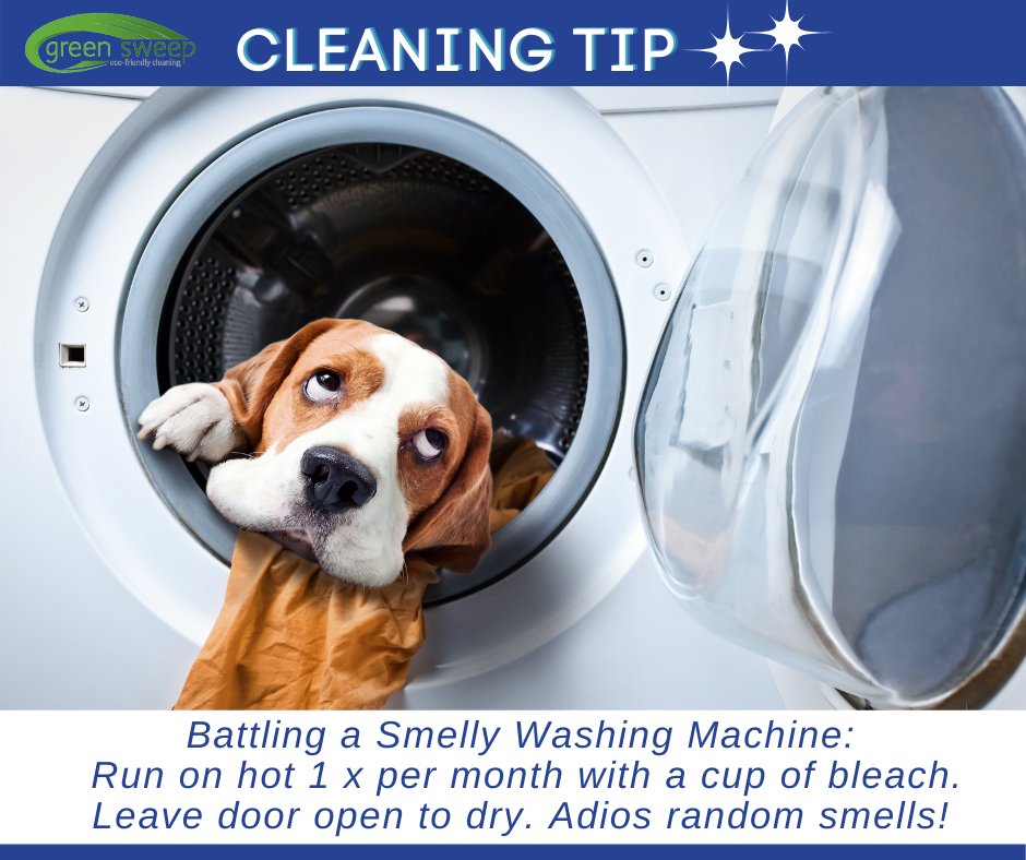 GreenSweepNM's tweet image. While we do not use bleach in our house cleaning, we do recognize the need for its use every so often. This tip came directly from our owner, Molly, after she tried everything to get rid of a sour washing machine smell (though she does it every 3 months!). #savetheweekend