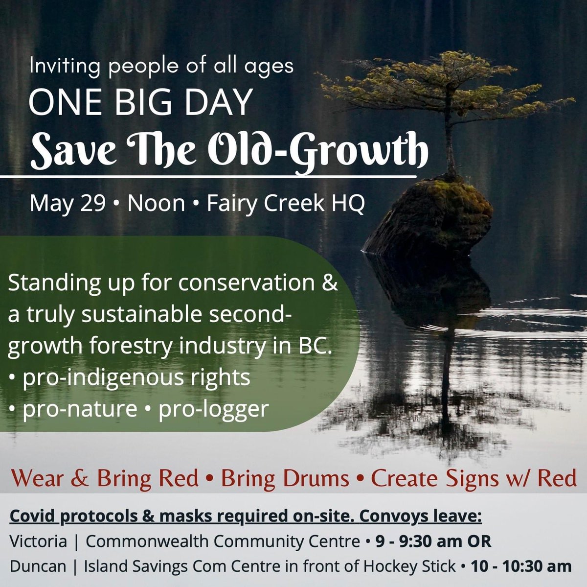 You can breathe much better in an Old Growth forest. So can all the animals that live there, including salmon young. Take a trip there on Saturday if you can. Victoria, Vancouver Island, Canada