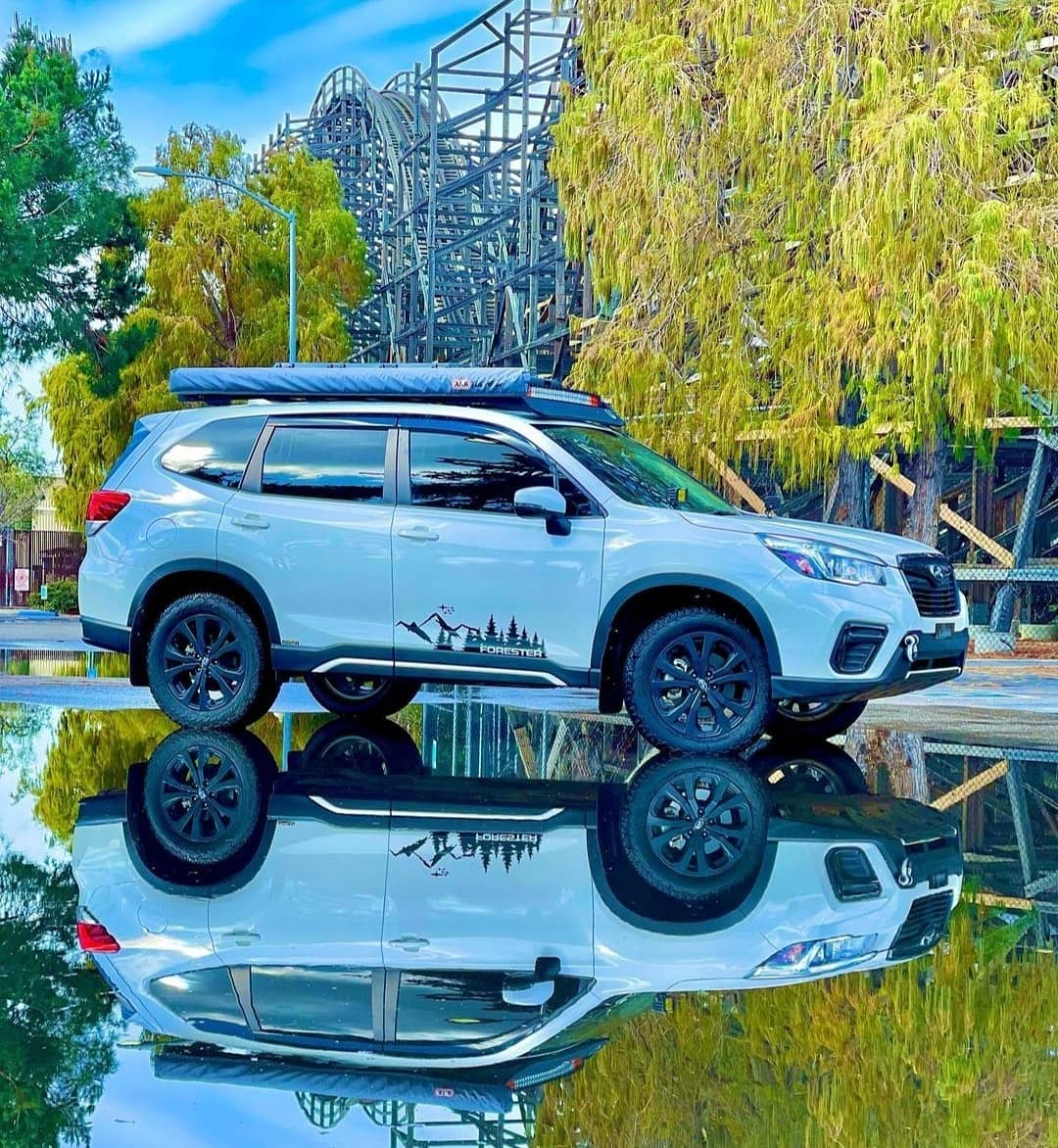 ForesterAddict's tweet photo. There is more than nature to admire in the woods!😌 Cr:@j_ross__foz 
#j_ross_foz #beastcars #beast  #subaru #subaruforester #subarulife #offroad #awd #subarulifestyle #forester #foresterlove #foresteraddict #subielife #subielove #subiegang #foresternation #foresterculture https://t.co/ed4Ms0aE5Q