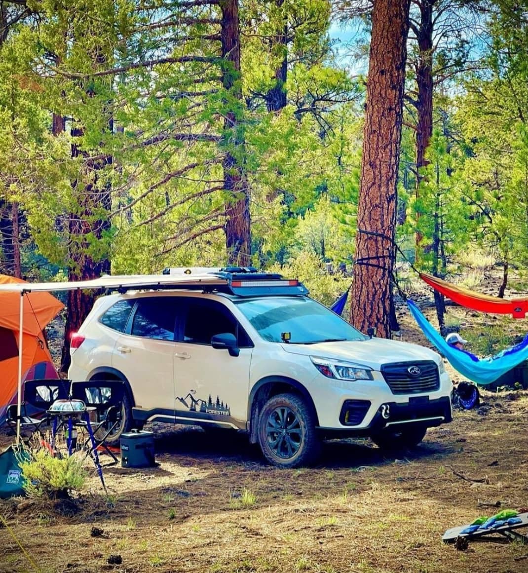 ForesterAddict's tweet photo. There is more than nature to admire in the woods!😌 Cr:@j_ross__foz 
#j_ross_foz #beastcars #beast  #subaru #subaruforester #subarulife #offroad #awd #subarulifestyle #forester #foresterlove #foresteraddict #subielife #subielove #subiegang #foresternation #foresterculture https://t.co/ed4Ms0aE5Q