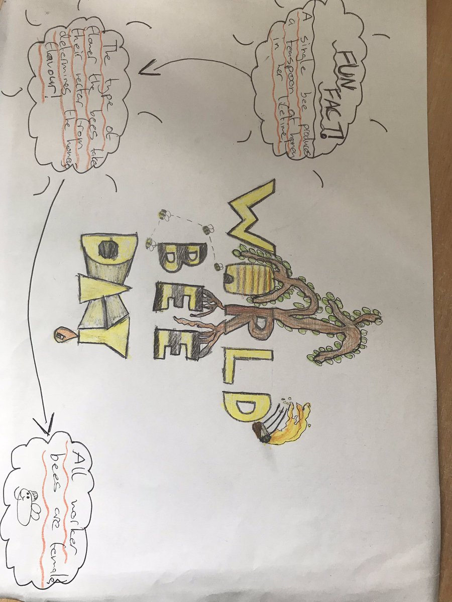 RosComCol's tweet photo. We had some superb entries for our @GreenSchoolsIre competition to mark #WorldBeeDay2021. Pictured are 2 of our winners Daniela (1B) and Nicole (2D) 🌸🐝 Well done to all entrants and to all winners #ETB_SDGs #GreenSchools #PleanBee @GRETBOfficial https://t.co/FWuCwoOSyp