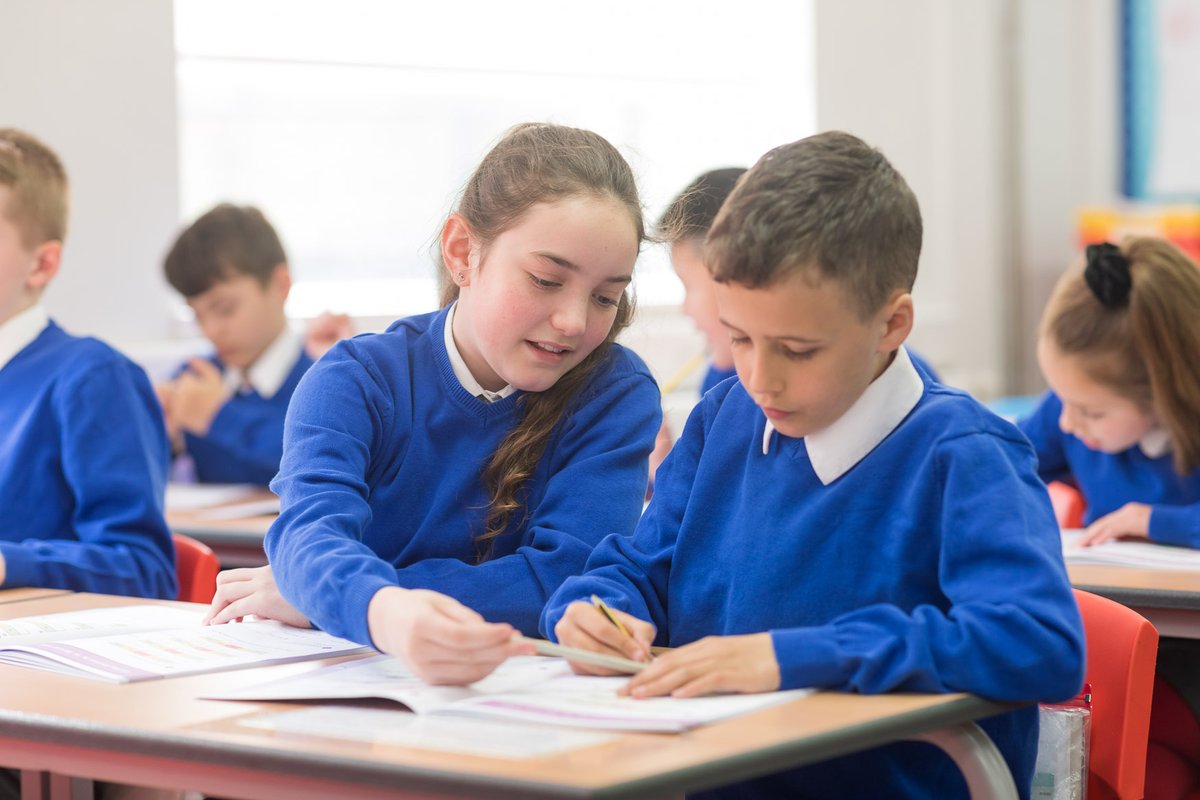 White Rose Education tweet media