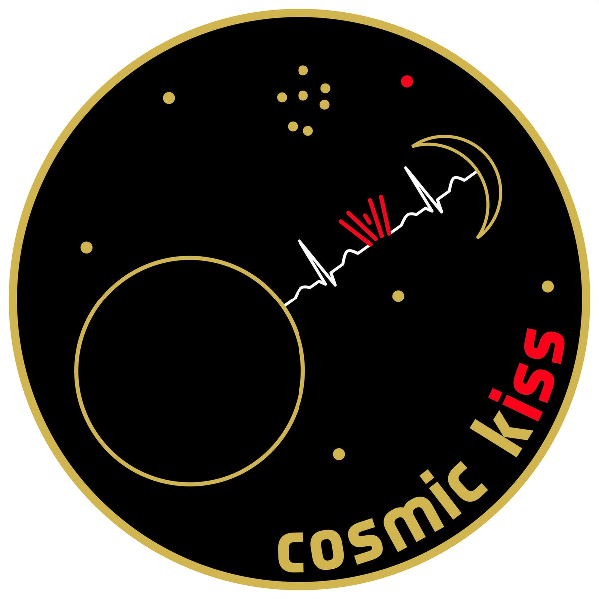 PampaLsfm4life's tweet photo. Our team at @goetheuni is proud to be part of the 🚀#CosmicKiss mission of @astro_matthias with our #CellBox3 experiment SHAPE. We thank 🇩🇪@DLR_SpaceAgency for funding and @yurigravity for teaming up with us in the journey to launch complex 39A! #spacebiology #Crew3 @ESA_de https://t.co/Lvd1NVesmv