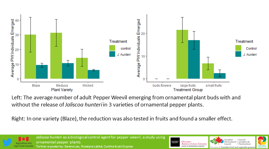 SerenaLeo14's tweet image. I present to you my #eposter on the biological control of the pepper weevil using the parasitoid wasp Jaliscoa hunteri! 

Check out more posts at the #SESGRADVConference2021 
#Entomology #research  #IPM #UofG_SES
@CscottduDupree @RoselyneLabbe @UofG_SES @SESGSC