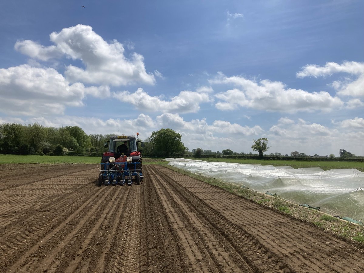 FarmViewUK's tweet photo. 8 different crops, 3 different drills - and a lot of sunshine #Trials #FarmviewUK https://t.co/ds6lOjgsBT