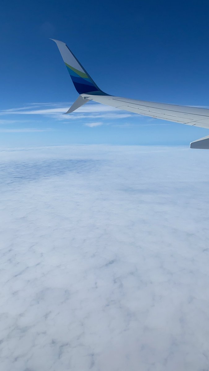 L’achimiste tweet media