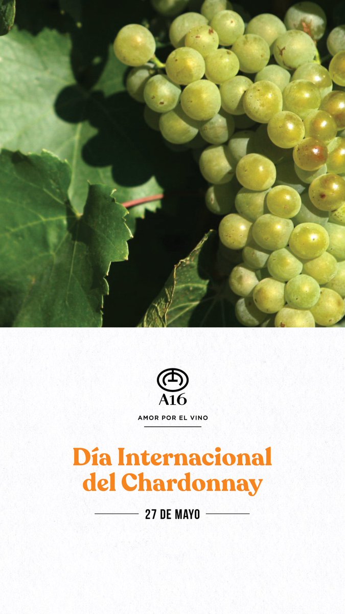 Bodega A16 (@bodegaa16) on Twitter photo Día Internacional del Chardonnay #Mendoza #DiainternacionaldelChardonnay #Argentina <a href="/BodegaA16/">Bodega A16</a> Día Internacional del Chardonnay #Mendoza #DiainternacionaldelChardonnay #Argentina <a href="/BodegaA16/">Bodega A16</a>