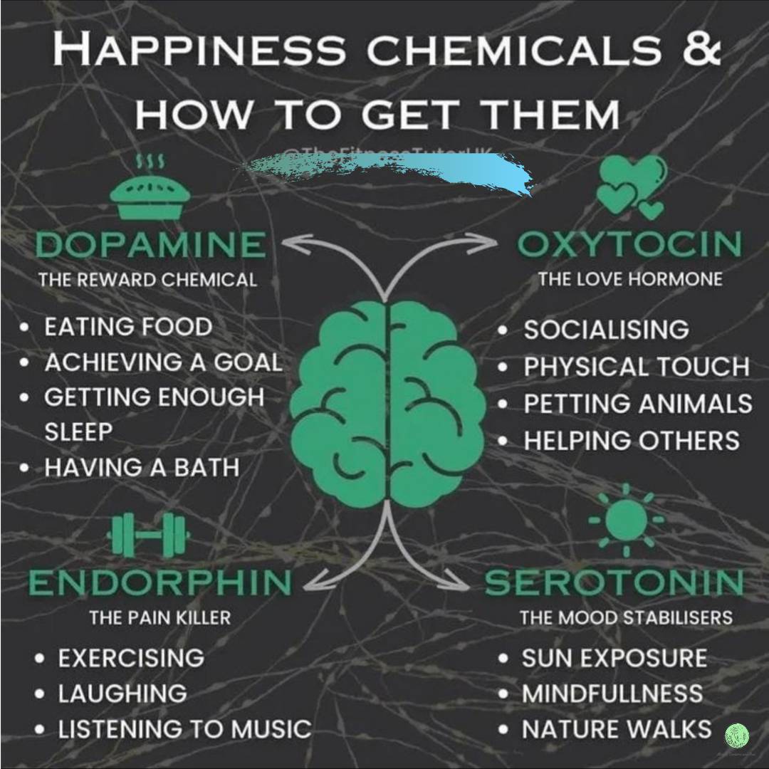 AndMirdus's tweet photo. Each of these chemicals are produced by our brains. Each neurotransmitter and hormone has an array of benefits and deficiencies can lead to undesirable effects. Here's how to boost them naturally and pick that mood up!

#plantsnotpills https://t.co/n0sWEMtMp7