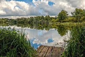 UEAEvents's tweet photo. #UEA has an amazing resource with it's campus natural landscape #UEAlivelecture #sciencetalk this eve https://t.co/1erqC5rDN5