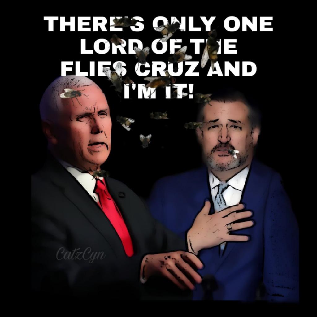 CynthiaBedard14's tweet photo. Can there be two lord of the flies?
#ToadCruz #TedCruzEatsFlies #TedCruz #MikePence #MikePenceFly #FlyinTed #TedCruzFly https://t.co/Zsje3xx6Vt
