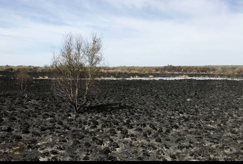 Jens Franssen tweet media