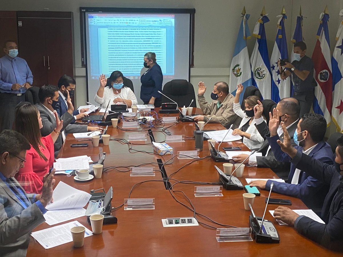 PARTIDO GANA tweet media