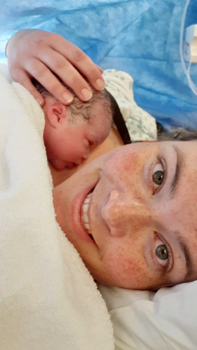 BooksJoel's tweet photo. Say hello to Maya! https://t.co/zMexlRx1kN