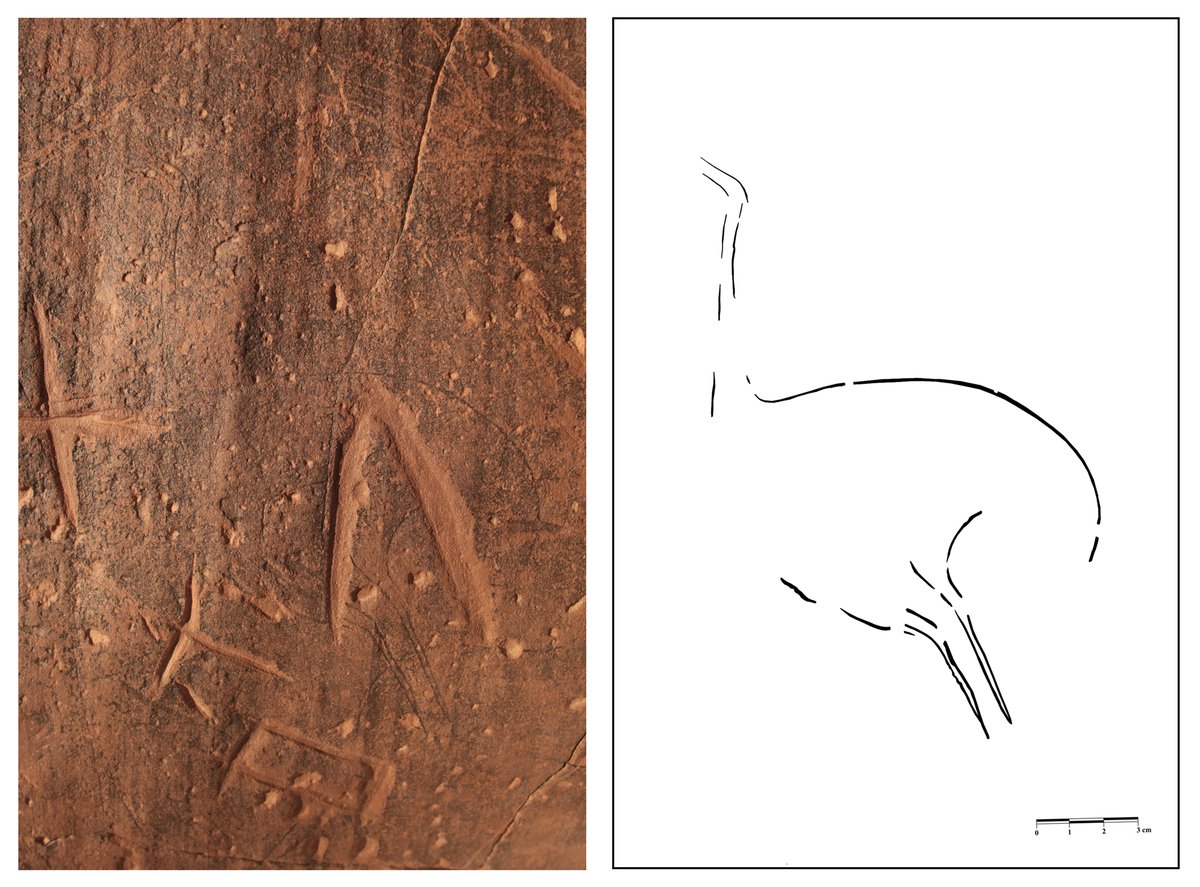 Tamanart Rock Art tweet media