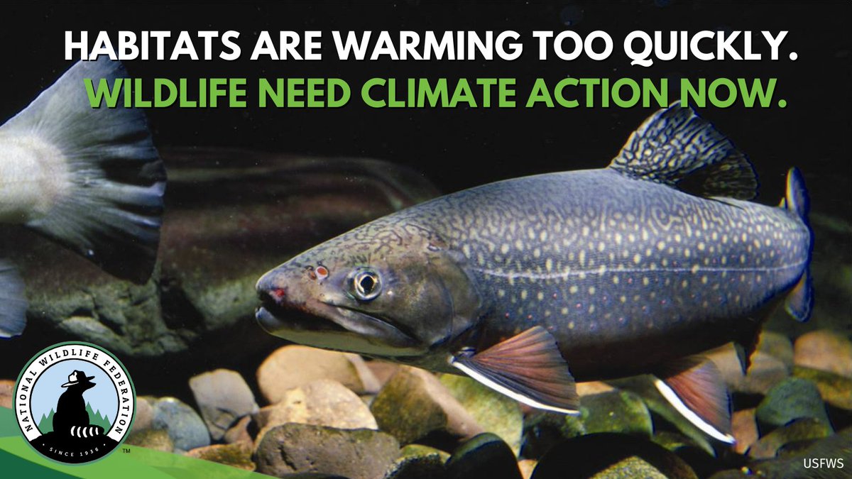 Three cheers for <a href="/SenBobCasey/">Bob Casey</a>, <a href="/SenatorBennet/">Michael Bennet</a>, &amp; <a href="/SenSherrodBrown/">Sherrod Brown</a> for their efforts to ensure the Clean Energy for America Act supports economic development &amp; investment in fossil fuel-reliant communities with high needs for #cleanenergy project expansion. #ActOnClimate