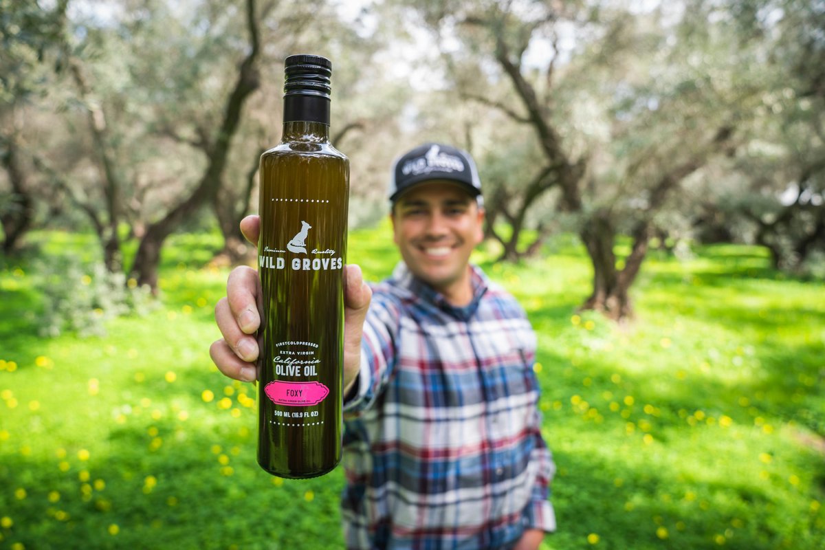 CAStateFair's tweet photo. Olive groves are habitat for wildlife. In fact, the @WildGrovesEVOO brand name and fox logo are inspired by a family of foxes living in their orchard in Corning, CA. The groves are some of the oldest in the country! #CAStateFair #OutstandingInTheirField #CAOliveOil #BestOfCA https://t.co/kJTYViJafA