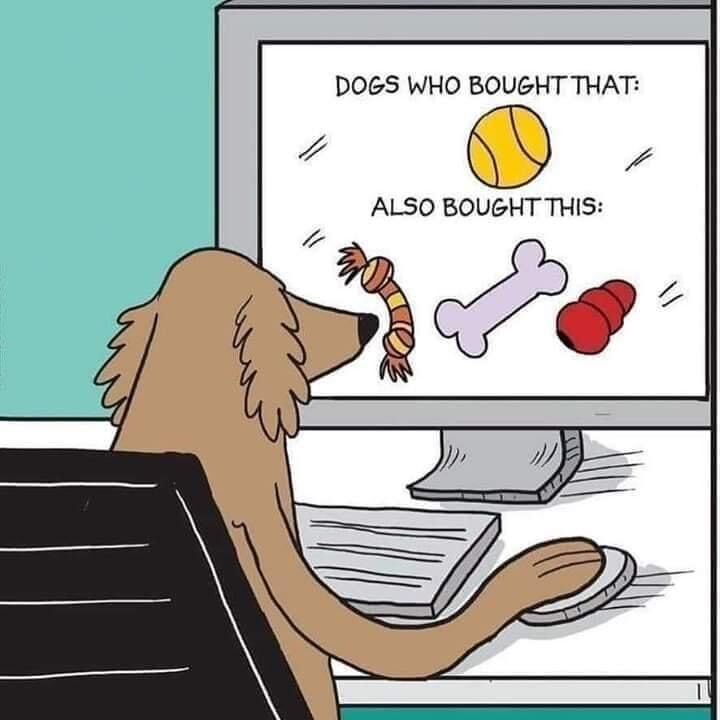 I'm not surprised 😁 🐶 

#dogmeme #meme