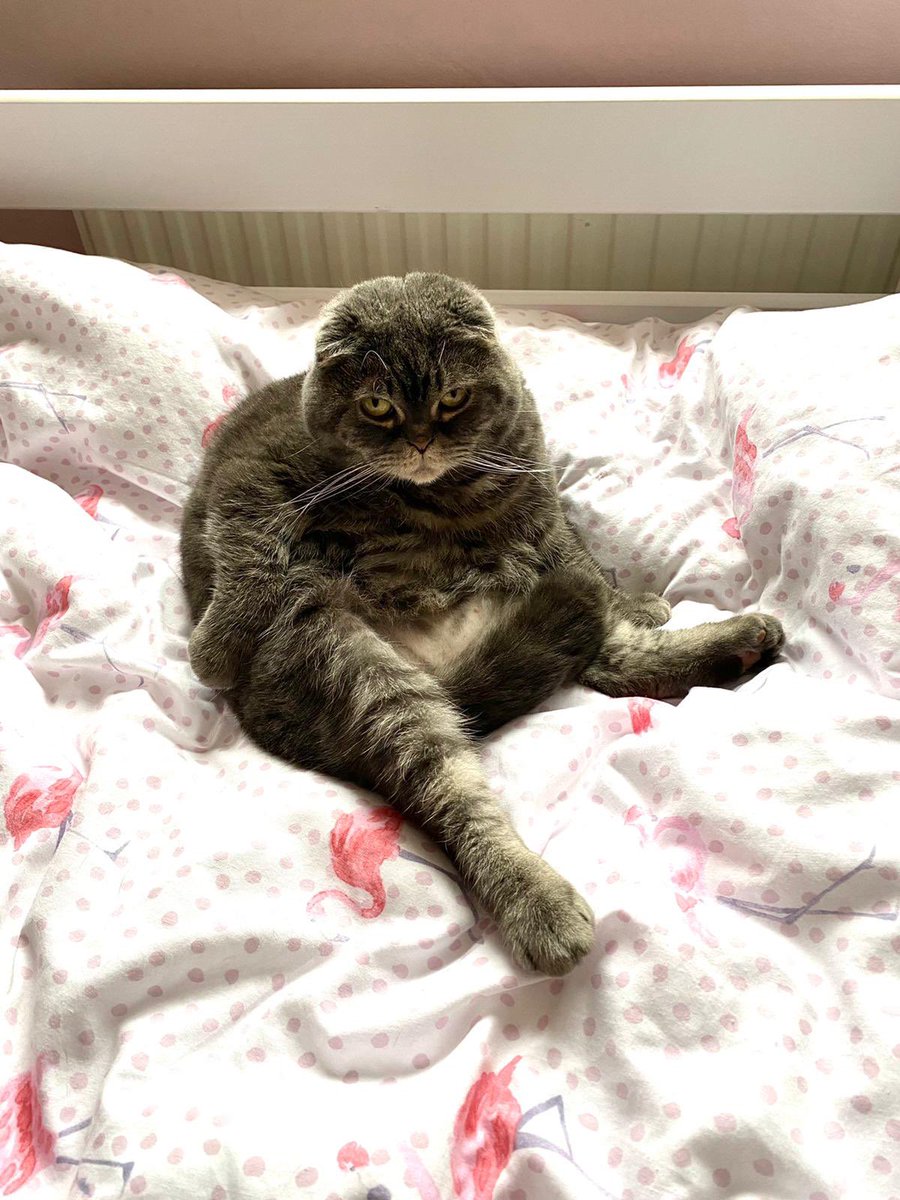 Hannah Prevett tweet media