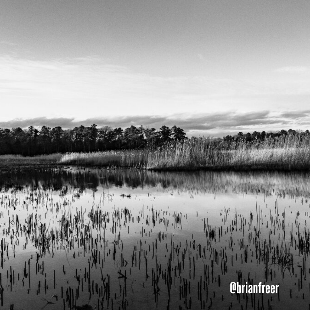Check out this interview with one of our favorite local photographers! One of his recent projects is documenting the Wetlands of #the757. 

lindamatneygallery.com/news/2021/2/1/…

#757Proud #wetlands #photography #757photography #local #757collective