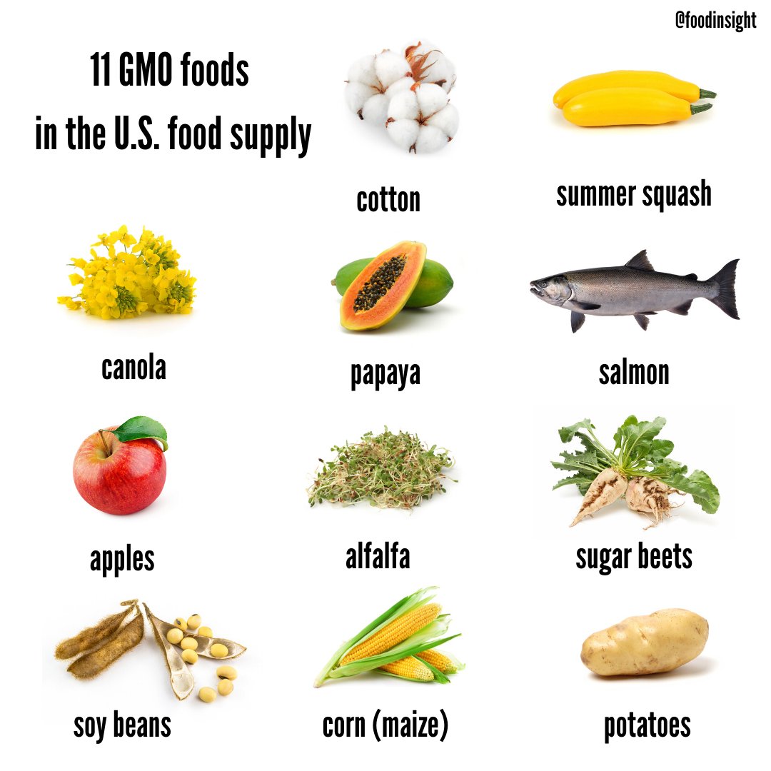 on Twitter "DYK there are 11 GMO crops in the US food
