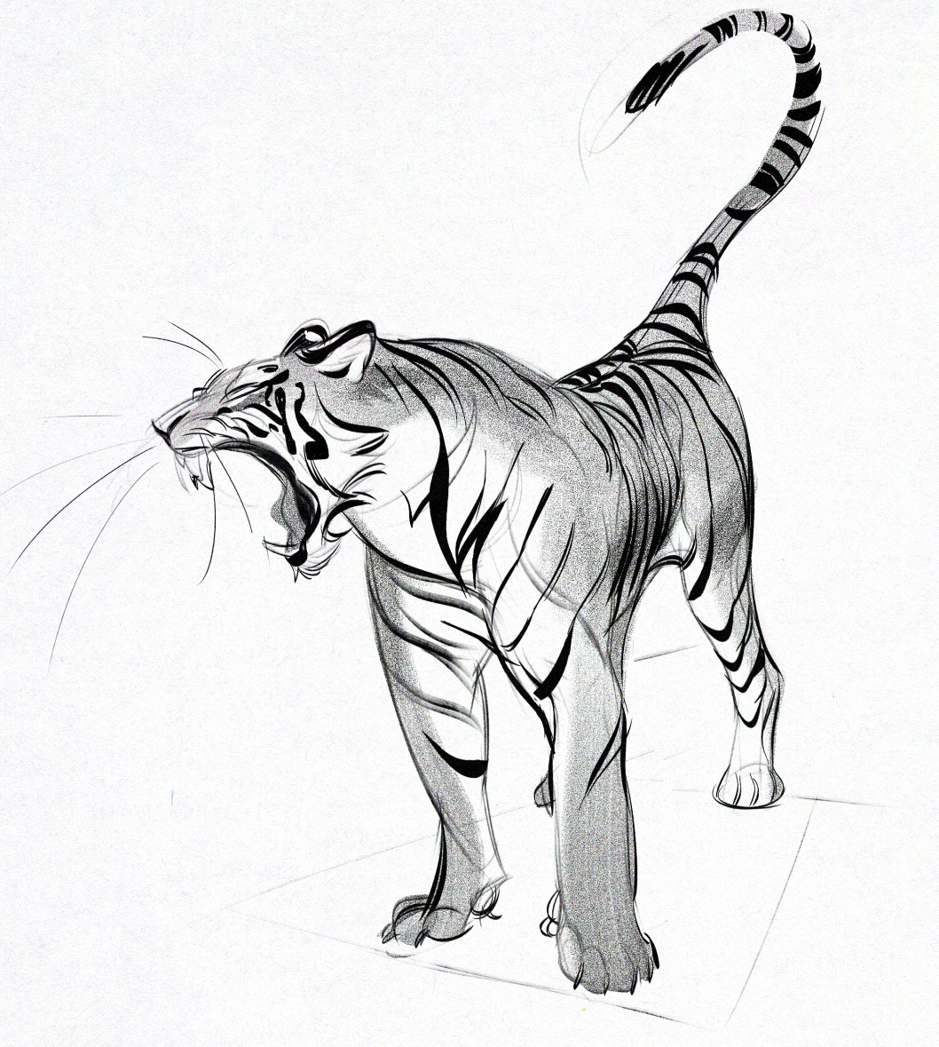 quick tiger study, powering through a deadline at the moment so relaxing with simple sketches 