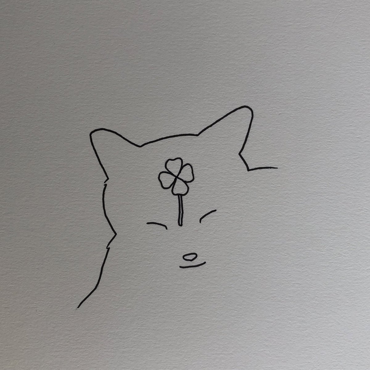 a good luck kitty for you 🍀