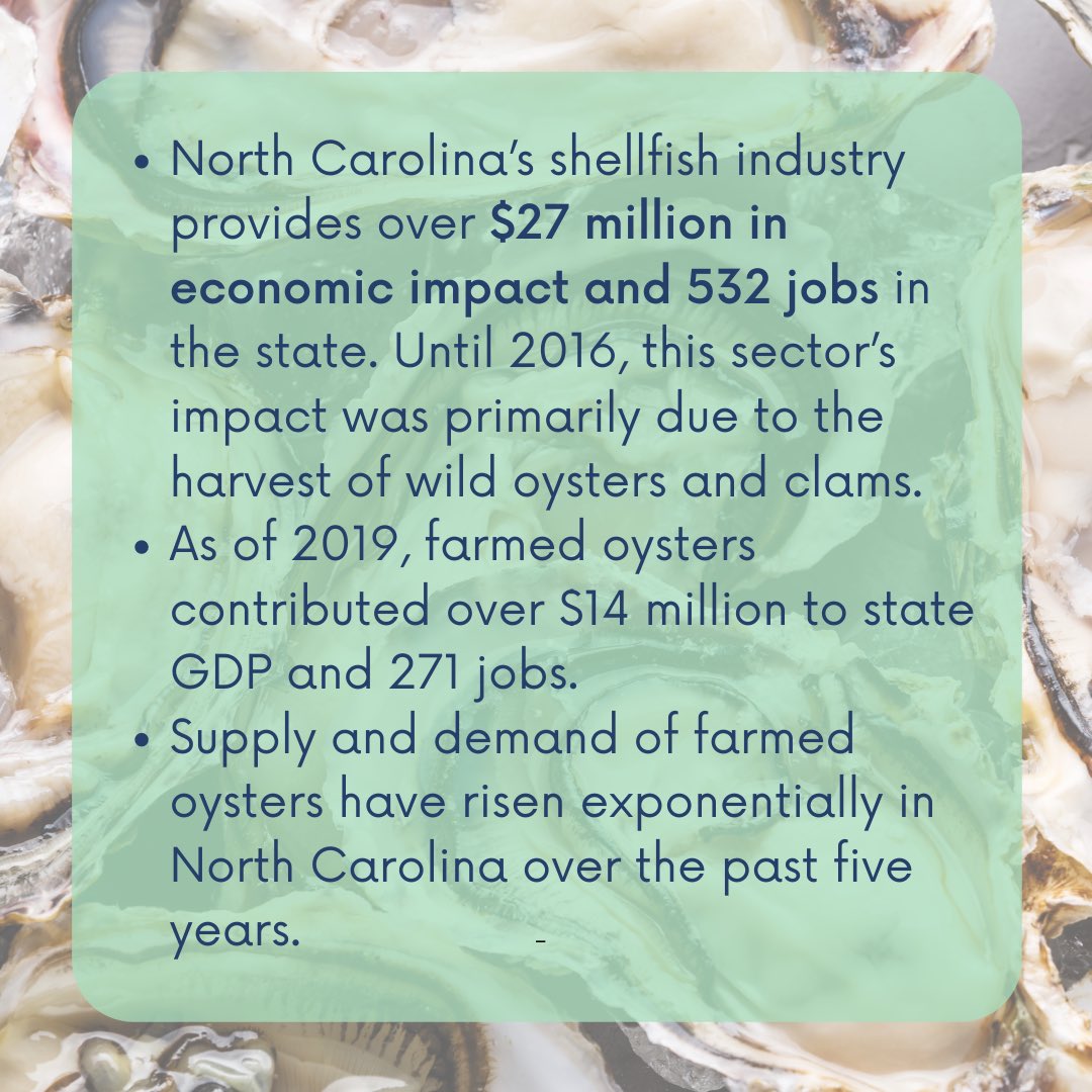 Big news! 📣 @ncstate @SeaGrantNC 
•
#oysters #oyster #ncoysters #ncaquaculture #shellfishaquaculture #ncseafood #seafood #economics #coastaleconomics #ncseagrant #ncpol #ncleg