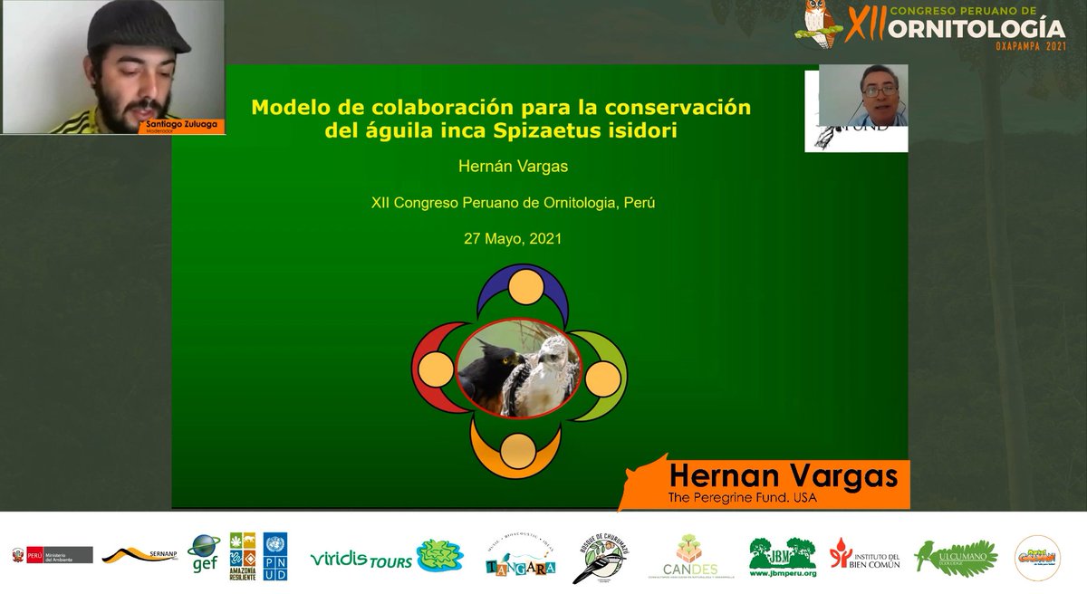 congresorniperu's tweet image. Santiago Zuluaga modera el Simposio de #Águila Inca #Spizaetus isidori con la primera presentación de Hernán Vargas hablándonos de modelos de colaboración internacional #XIICPO #Peru #Oxapampa #ornitologia #aves
