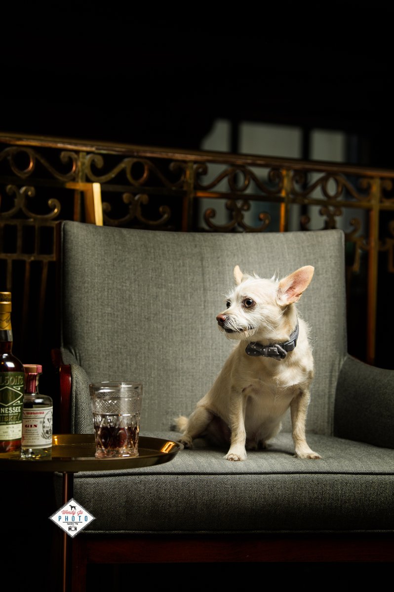 Wobarr's tweet photo. It's 5 o'clock somewhere, right? 😉
#thirstythursday #happyhour #petphotography #ilovemyjob https://t.co/tajHdwf4UU