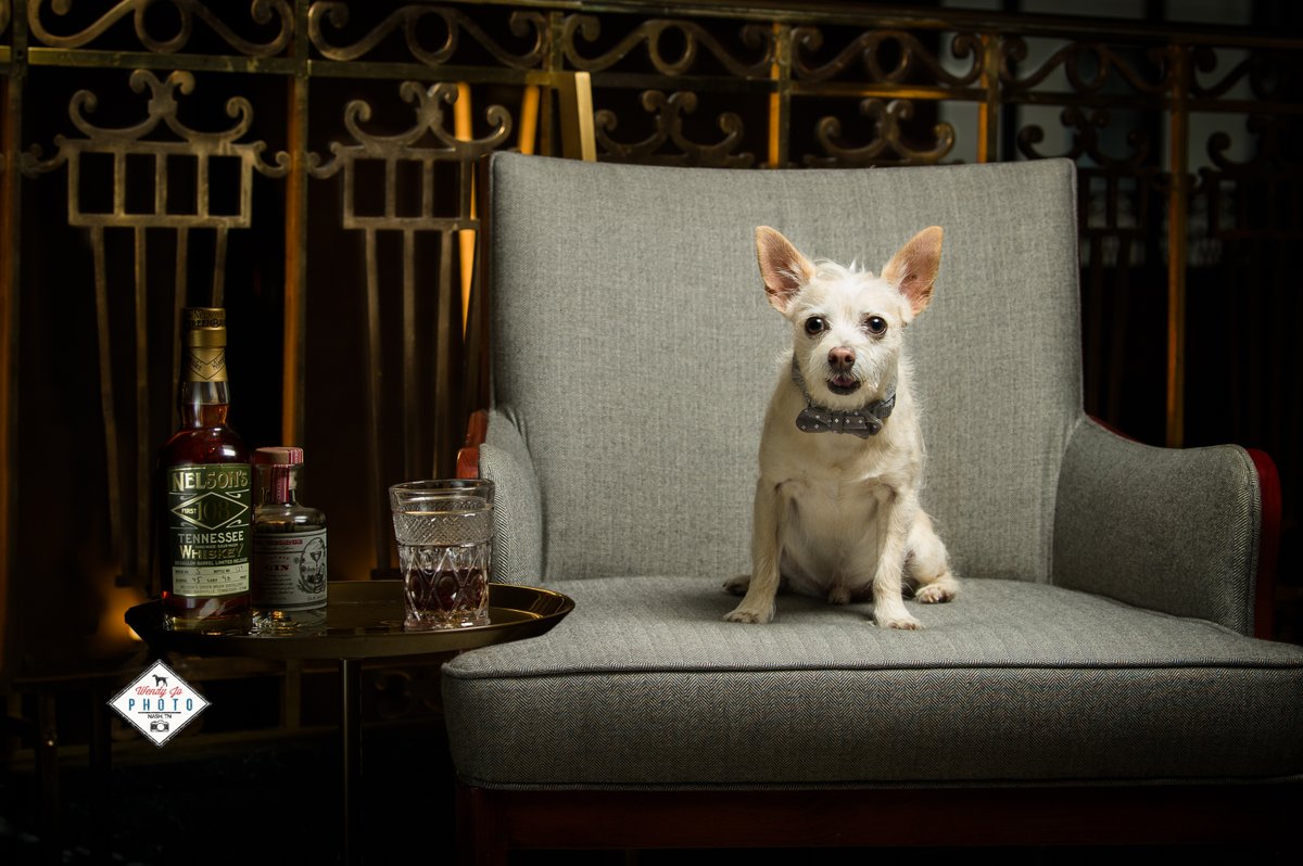 Wobarr's tweet photo. It's 5 o'clock somewhere, right? 😉
#thirstythursday #happyhour #petphotography #ilovemyjob https://t.co/tajHdwf4UU