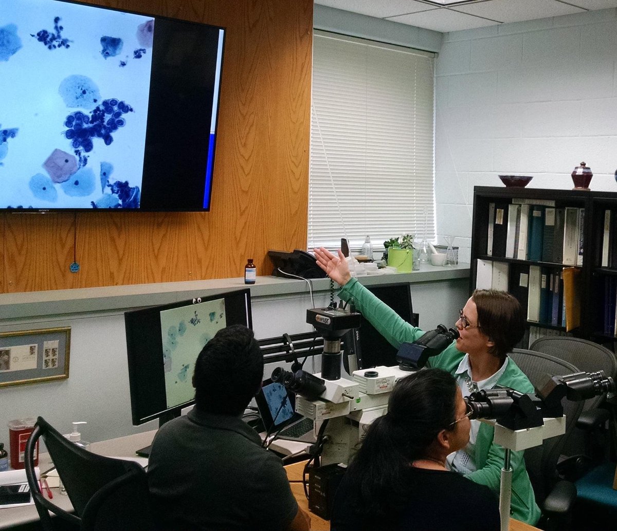 UWCytoProgram's tweet photo. Are you a cytotechnologist with a passion for education? We have two openings for clinical instructors!  Full details: https://t.co/JTuJ3MEjM6 The deadline for full consideration is June 23, 2021. #cytotech #cytotechnologist #cytopath #meded https://t.co/3VcQ66YyIh