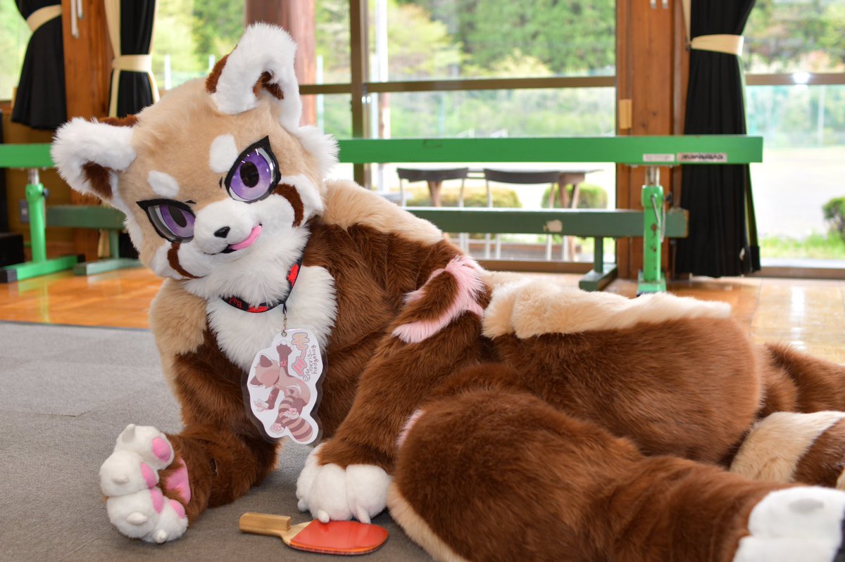 Morris_hedgehog's tweet photo. 朝の運動(ウソです
#FursuitFriday #TDOS5 https://t.co/EuZwopvOud