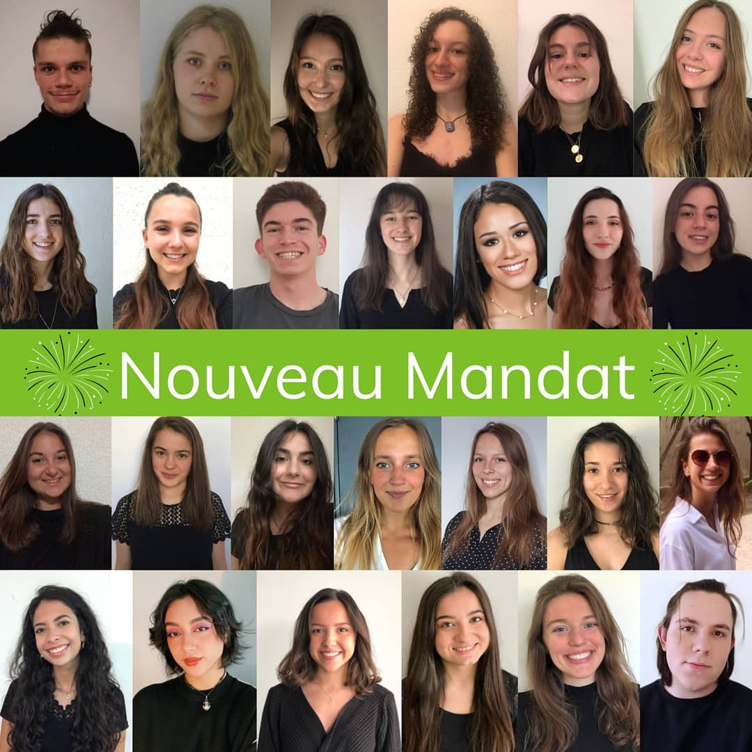 Agro Projets Etudes tweet media